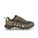 Brown/Olive