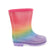 Rainbow Glitter